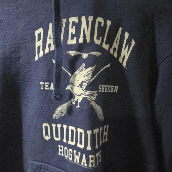 Mens Harry Potter Ravenclaw Quidditch Seeker Hooded Sweatshirt Small - Picture 3 of 5
